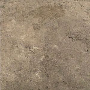 Meet your Posher, Raymond